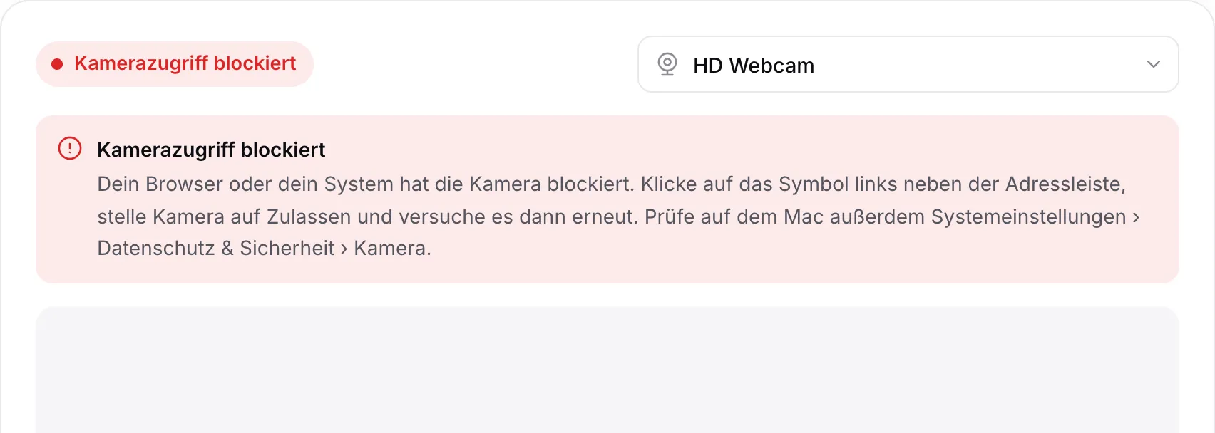 Der Webcam-Viewer mit der roten Meldung „Kamerazugriff blockiert“ und Anweisungen