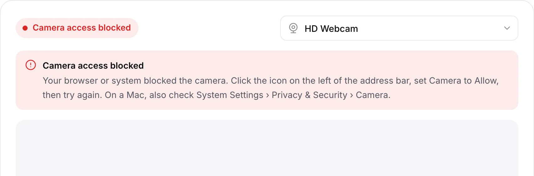 The online camera showing the red message “Camera access blocked” with instructions