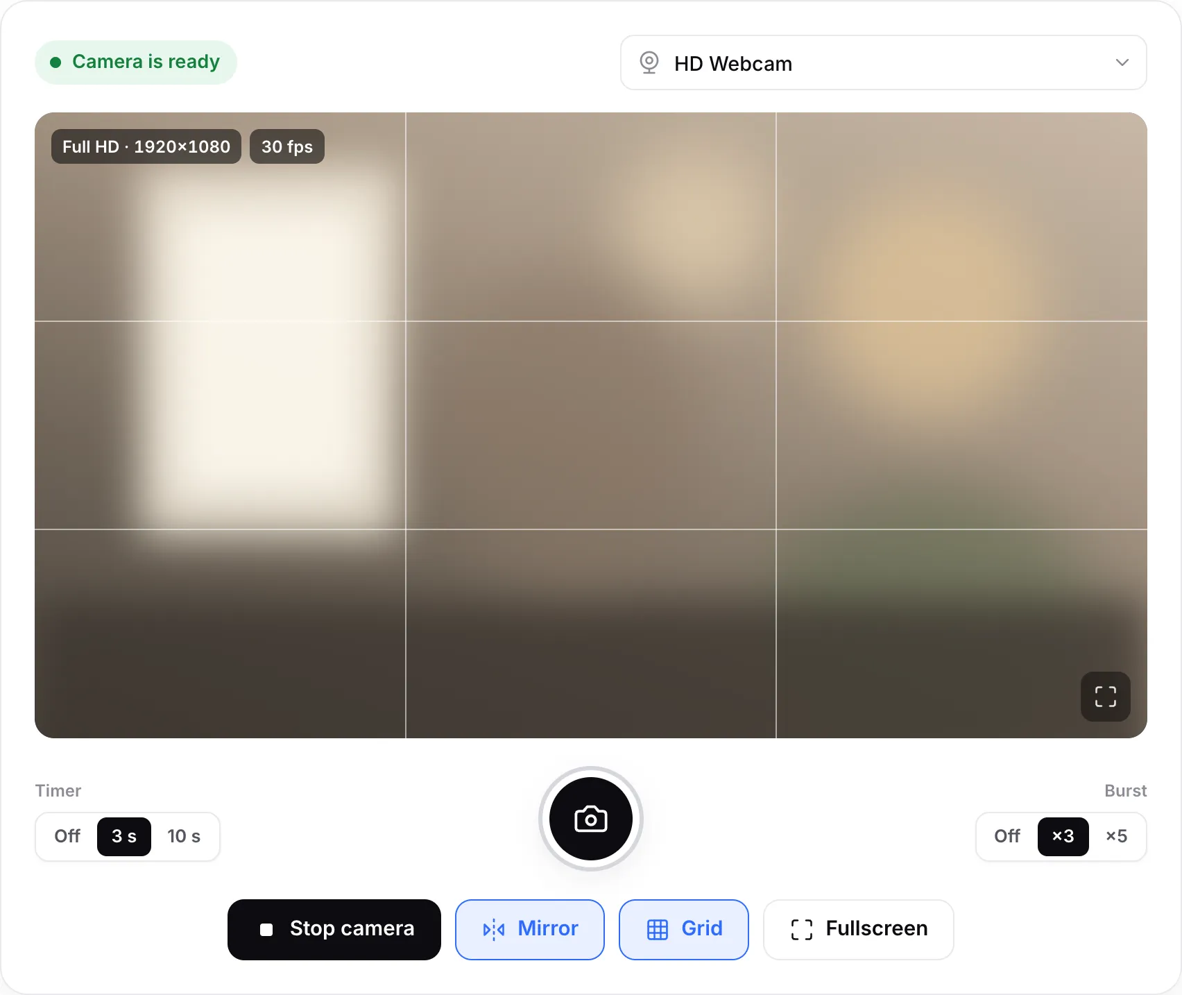 The online camera with the grid on, the 3 s timer and the ×3 burst selected on either side of the round shutter button