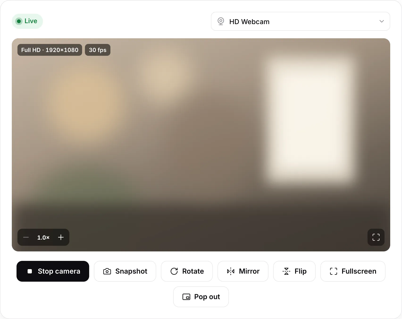 The webcam viewer showing a live Full HD 1920×1080 picture at 30 fps, with the Rotate, Mirror, Flip and Pop out buttons