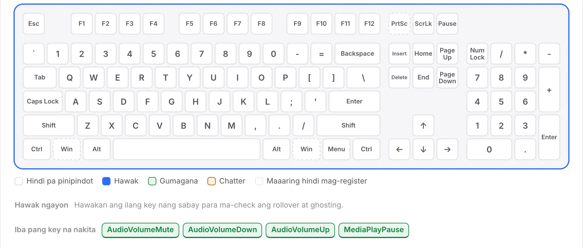 Ang F-row na puti pa rin habang nakalista ang AudioVolumeMute, AudioVolumeDown, AudioVolumeUp at MediaPlayPause sa ilalim ng Other keys detected