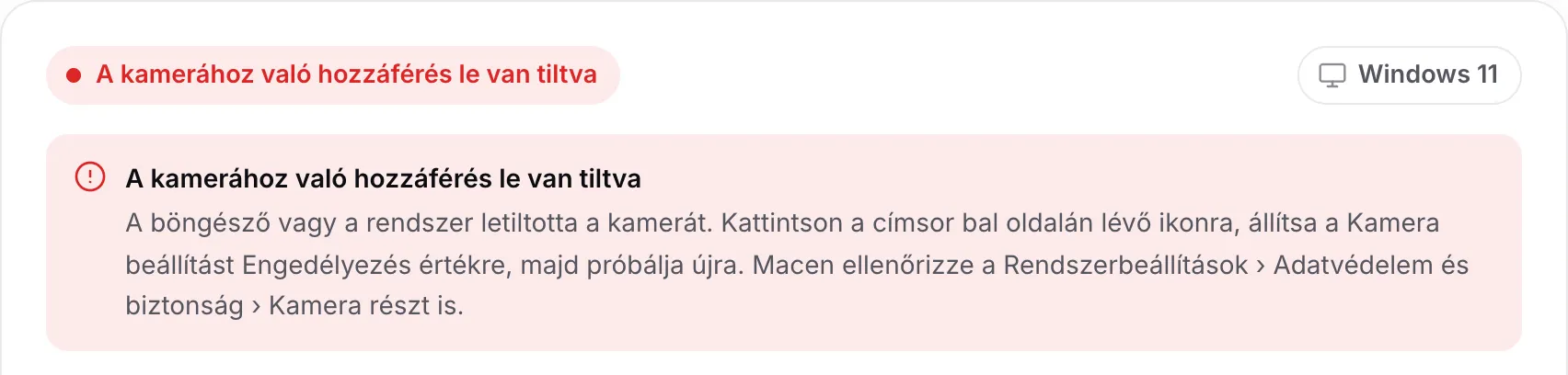 A webkamera illesztőprogram-kereső a piros „A kamerához való hozzáférés le van tiltva” üzenettel és útmutatással