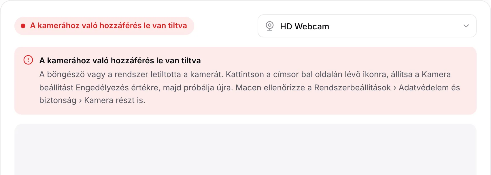 A webkamera nézegető a piros „A kamerához való hozzáférés le van tiltva” üzenettel és útmutatással