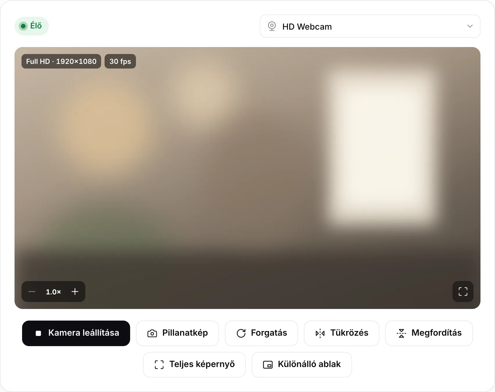 A webkamera nézegető élő Full HD 1920×1080 képet mutat 30 fps-sel, a Forgatás, Tükrözés, Megfordítás és Különálló ablak gombokkal