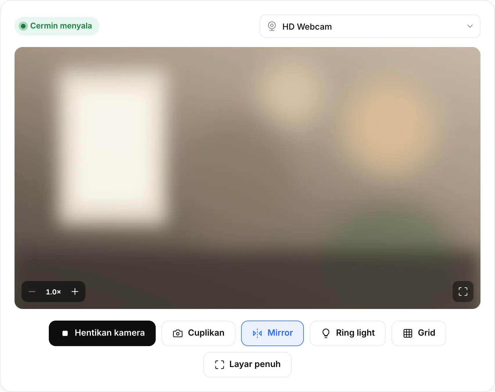 Cermin webcam yang berjalan, dengan status “Cermin menyala”, tombol zoom di atas gambar, dan tombol Ring light