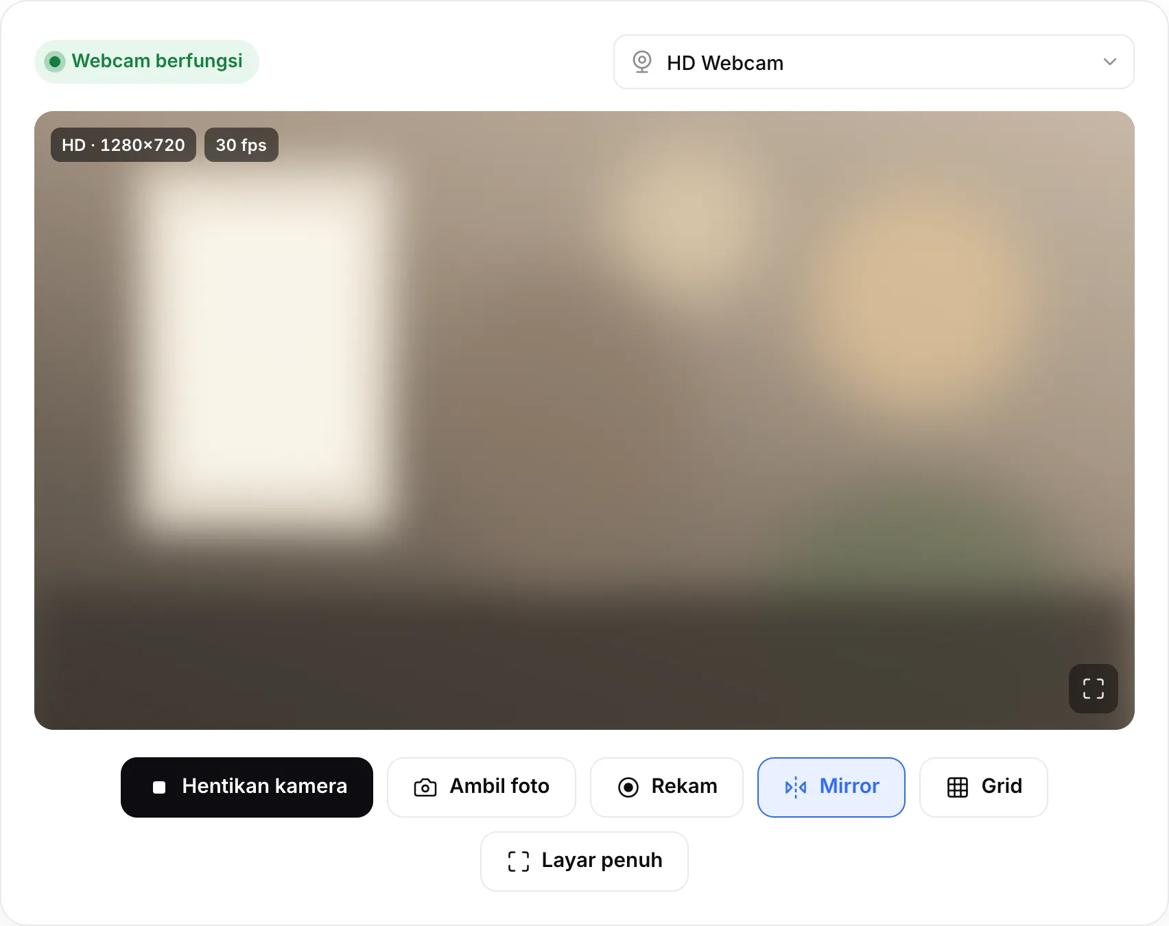 Webcam yang berfungsi: gambar langsung dengan lencana HD · 1280×720 dan 30 fps serta status hijau “Webcam berfungsi”
