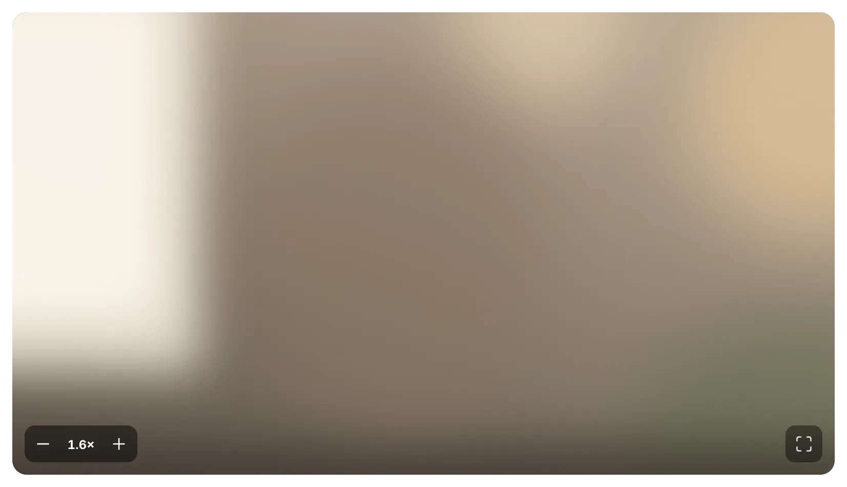 1.6 倍にズームしたミラー。映像の隅にズームボタンが表示されている