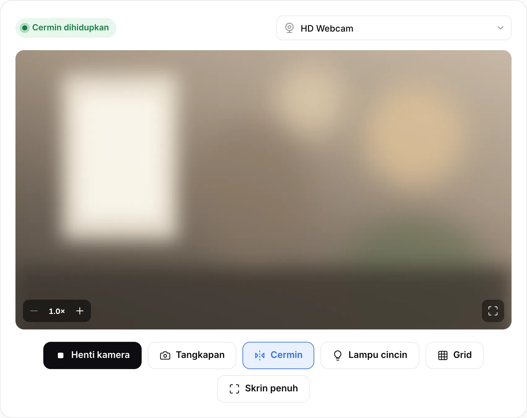 Cermin kamera web sedang berjalan, dengan status “Cermin dihidupkan”, butang zum pada gambar dan butang Lampu cincin