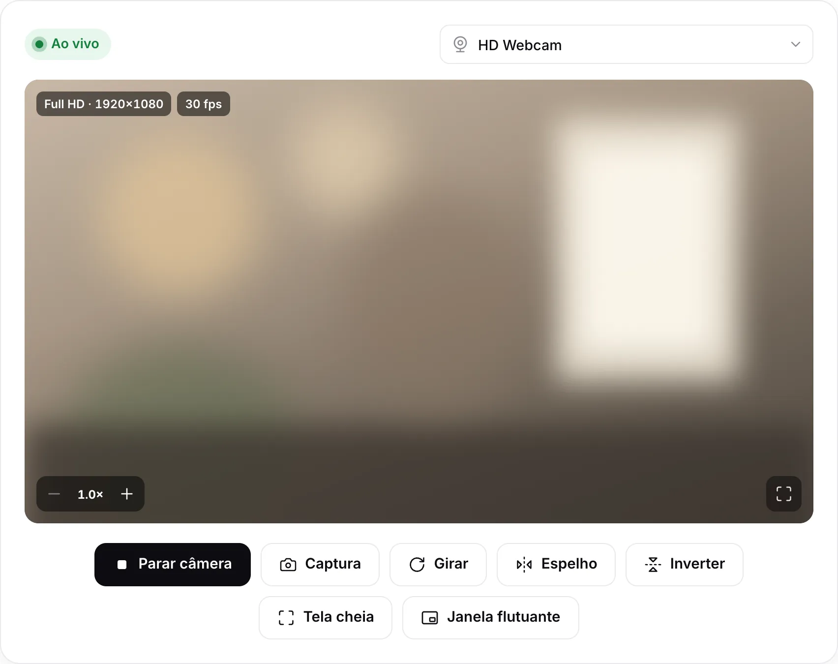O visualizador de webcam mostrando uma imagem ao vivo em Full HD 1920×1080 a 30 fps, com os botões Girar, Espelho, Inverter e Janela flutuante