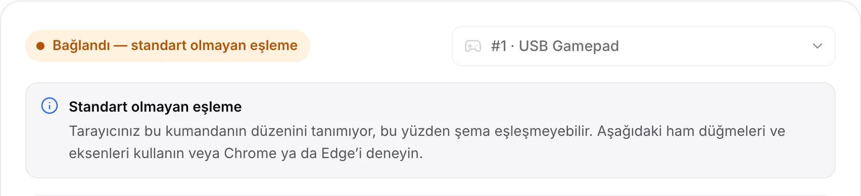 Turuncu “Bağlandı — standart olmayan eşleme” durumu ve ham değerleri kullanma bildirimiyle bir USB Gamepad gösteren test