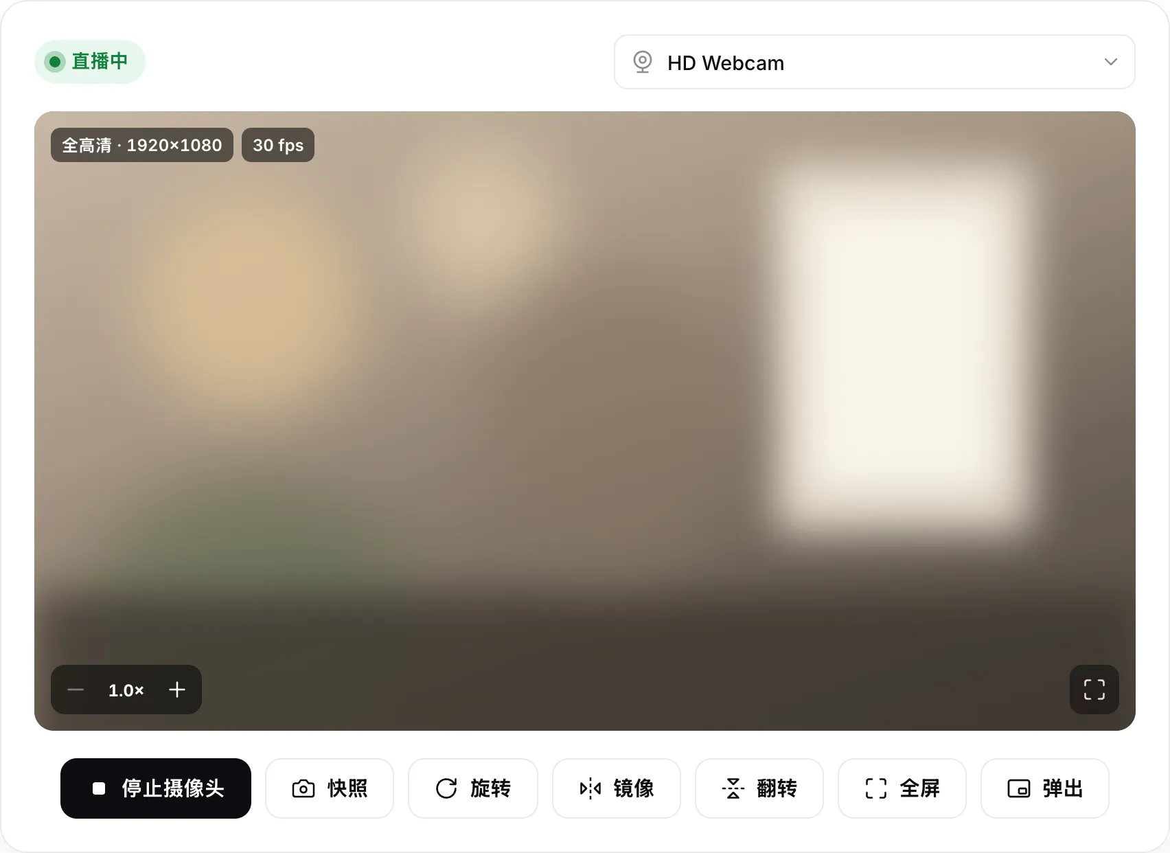 摄像头预览显示 30 fps 的全高清 1920×1080 实时画面，带有“旋转”“镜像”“翻转”和“弹出”按钮